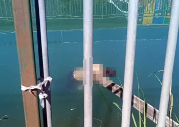 Sulama kanalında erkek cesedi bulundu