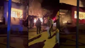 Sultanhisar’da yanan en küle döndü