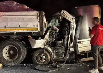 Süt toplama aracı TIR’a çarptı; 1 ölü