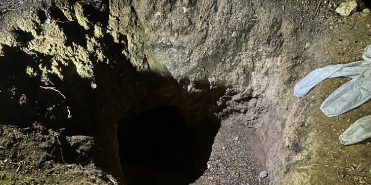 Tarihi eser ararken suçüstü yakalandılar