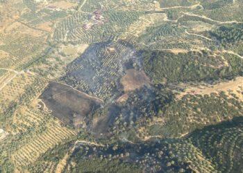 Tarım arazisindeki yangın 1 saatte söndürüldü