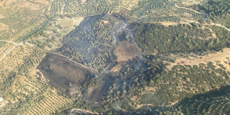 Tarım arazisindeki yangın 1 saatte söndürüldü