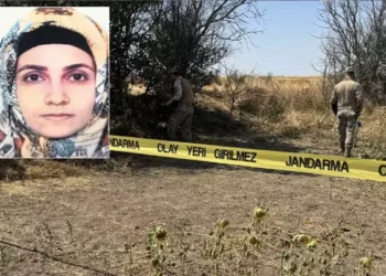 Tarlada başlayan yasak aşk, tarlada bitti