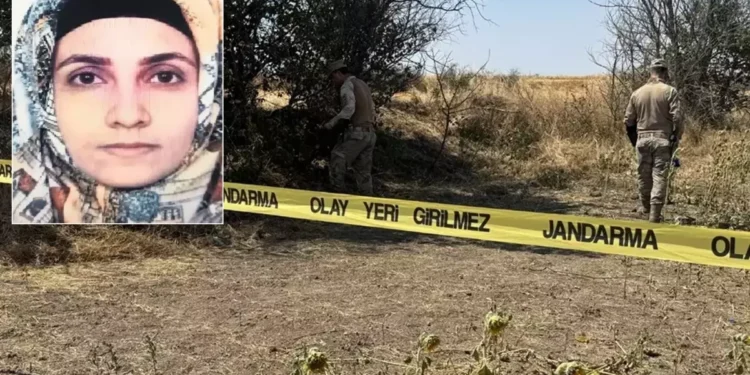 Tarlada başlayan yasak aşk, tarlada bitti