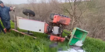 Tarlaya gübre atarken traktörün altında kaldı