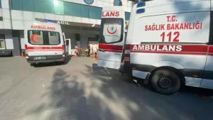 Tartıştığı ağabeyini bıçaklayarak öldürdü