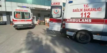 Tartıştığı ağabeyini bıçaklayarak öldürdü