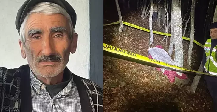 Traktör uçuruma uçtu Sürücü öldü eşi yaralandı