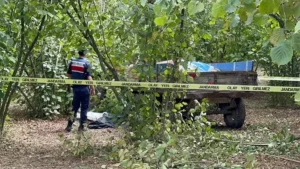 Traktörden düşüp teker ile ağaç arasına sıkışıp öldü