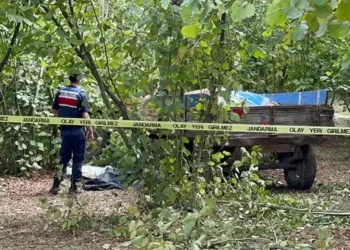 Traktörden düşüp teker ile ağaç arasına sıkışıp öldü