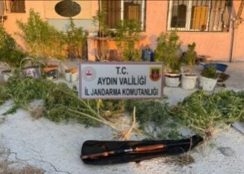 Uyuşturucu ve çalıntı tüfekle yakalanan şüpheli tutuklandı