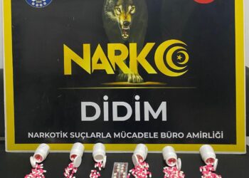 Uyuşturucuyla yakalanan 2 şüpheli tutuklandı