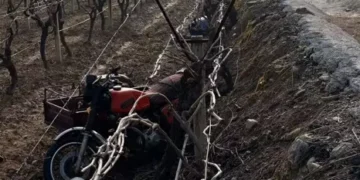 Üzüm bağına devrilen motosiklet sürücüsü öldü