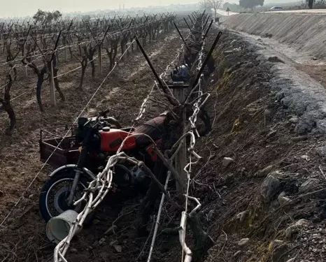 Üzüm bağına devrilen motosiklet sürücüsü öldü