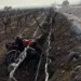 Üzüm bağına devrilen motosiklet sürücüsü öldü