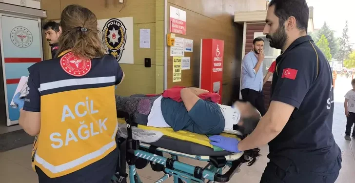 Üzüm yaprağı toplarken çatıdan düştü