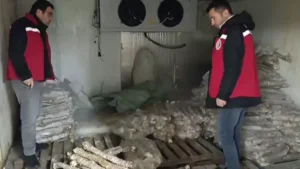 Vatandaşa bozulmuş kokoreç yedireceklerdi