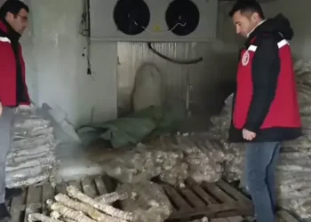 Vatandaşa bozulmuş kokoreç yedireceklerdi