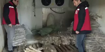 Vatandaşa bozulmuş kokoreç yedireceklerdi