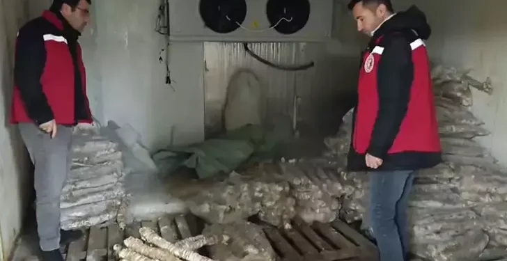 Vatandaşa bozulmuş kokoreç yedireceklerdi