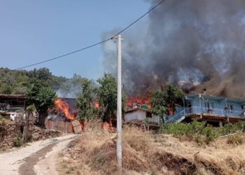 Aydın’da çıkan yangın 2 evi kullanılamaz hale getirdi
