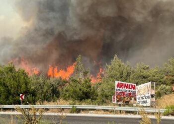 Kuşadası’nda yangın rüzgarla birlikte büyüdü