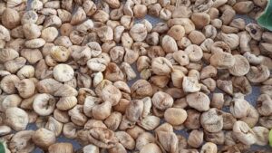 Aydın’ın Nazilli ilçesinde Ticaret Borsası 3 üreticinin getirdiği 50 kilo