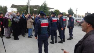 Aydın’ın İncirliova İlçesinde yaklaşık 20 yıldan beri yurt dışına kuru