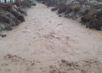 Aydın’da dereler taşma noktasına geldi