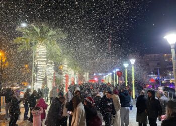 Aydınlılar yeni yıla kar yağışıyla girdi