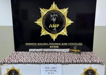 Uyuşturucu hapla yakalanan 2 şüpheli tutuklandı