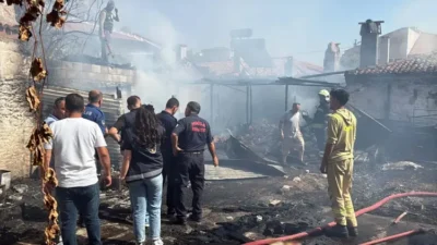 Muğla'nın Menteşe ilçesinde tek katlı evde çıkan yangında Fedai Küçükdağ (77), hayatını