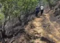 Yemek ısıtmak için yakılan ateş incir bahçesini yaktı