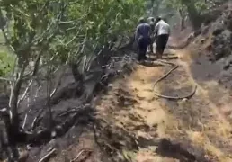 Yemek ısıtmak için yakılan ateş incir bahçesini yaktı