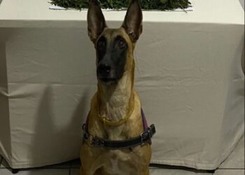 Yolcu otobüsünde 1 kilo 135 gram uyuşturucuyla yakalandı