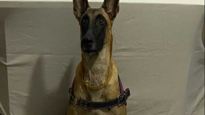 Yolcu otobüsünde 1 kilo 135 gram uyuşturucuyla yakalandı