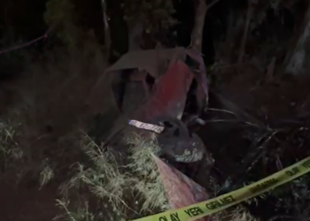 Yoldan çıkan otomobil ağaçlık alana düştü 2 ölü (4)