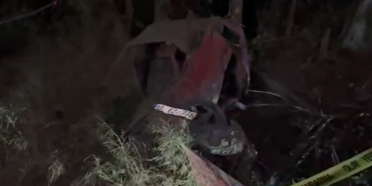 Yoldan çıkan otomobil ağaçlık alana düştü 2 ölü (4)