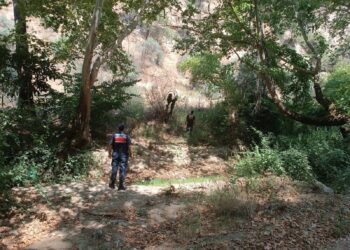 Ormanda izinsiz mangal yakan 31 kişiye 63 bin TL ceza