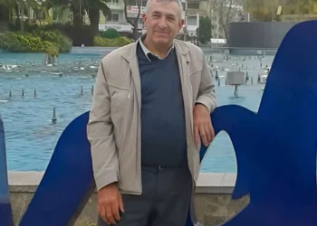 Zeytin hasadı yaparken elektrik akımına kapıldı