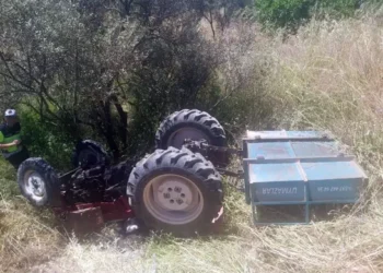 Zeytinliğe devrilen traktörün sürücüsü öldü