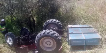 Zeytinliğe devrilen traktörün sürücüsü öldü