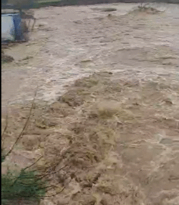 aydın sağanak yağmur (5) aydın sağanak yağmur (5)