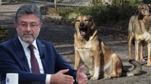 Düzenlemeye uymayan belediyelere 2 yıla kadar hapis uygulanacak