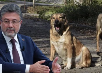 Düzenlemeye uymayan belediyelere 2 yıla kadar hapis uygulanacak