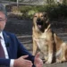 Düzenlemeye uymayan belediyelere 2 yıla kadar hapis uygulanacak