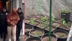 Evinin terasına uyuşturucu serası kurdu