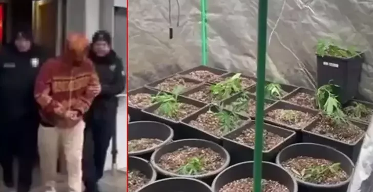 Evinin terasına uyuşturucu serası kurdu