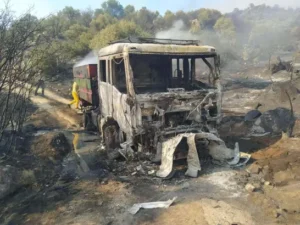 bozdoğan, yangın, 100 hektar, zarar, son dakika, aydın, bozdoğan, yangın, 100 hektar, zarar, son dakika, aydın,