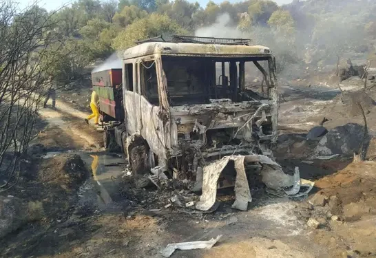 bozdoğan, yangın, 100 hektar, zarar, son dakika, aydın,